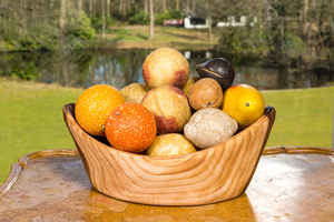 Fourteen painted marble and alabaster imitation models of fruits in a modern wooden bowl, 19/20th C.