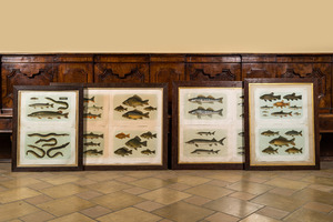 Une collection de lithographies en couleurs encadrées à décor de poissons, Werner u. Winter, Francfort, 20ème