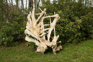 Trône impressionnant fait de racines d'arbres, 20ème siècle