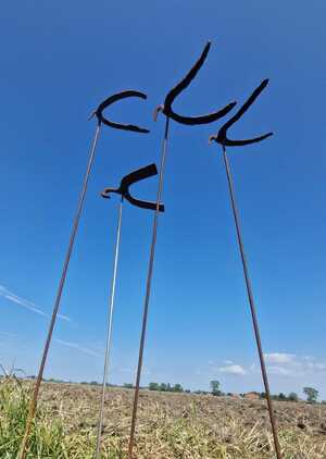Patrick Steen: 'Freedom in connection', composition of four scrap metal works