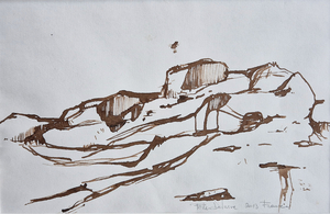 Peter Defurne: 'Rocky landscape', brown ink on paper, 2013